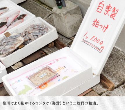 柳川でよく見かけるウンタケ（海茸）という二枚貝の粕漬。