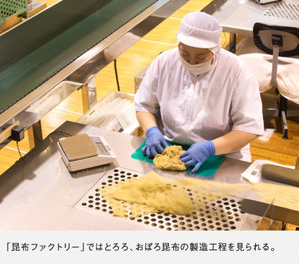 「昆布ファクトリー」ではとろろ、おぼろ昆布の製造工程を見られる。