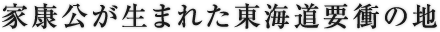 家康公が生まれた東海道要衝の地