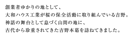 創業者ゆかりの地として、大和ハウス工業が桜の保全活動に取り組んでいる吉野。神話の舞台でもある山間の地に、古代から珍重されてきた吉野本葛を訪ねてきました。