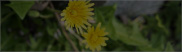 photo4