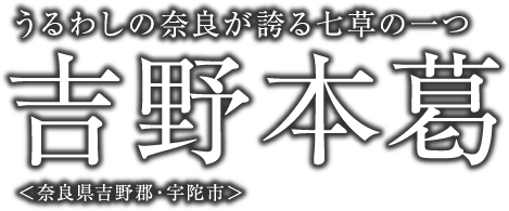 うるわしの奈良が誇る七草の一つ　吉野本葛　＜奈良県吉野郡・宇陀市＞