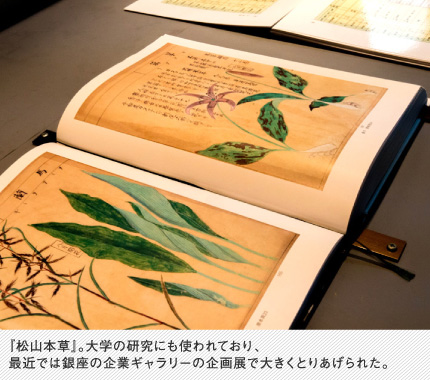 『松山本草』。大学の研究にも使われており、最近では銀座の企業ギャラリーの企画展で大きくとりあげられた。