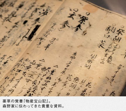 薬草の覚書『物産宝山記』。森野家に伝わってきた貴重な資料。