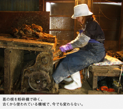 葛の根を粉砕機で砕く。古くから使われている機械で、今でも変わらない。