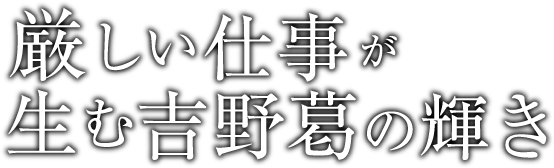 厳しい仕事が生む吉野葛の輝き