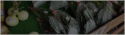 photo2