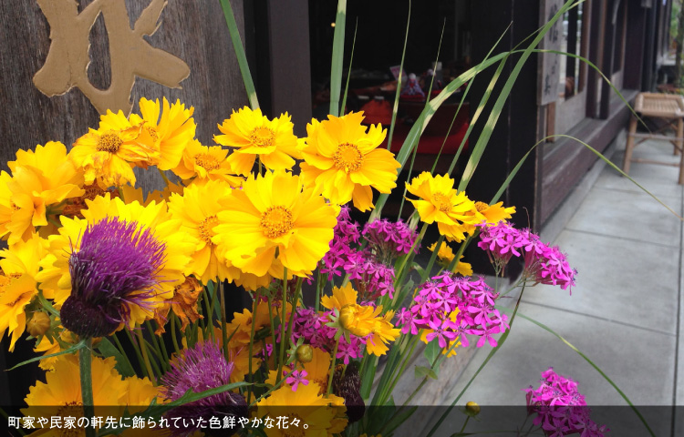 町家や民家の軒先に飾られていた色鮮やかな花々。