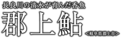 長良川の清水が育んだ香魚　郡上鮎　＜岐阜県郡上市＞