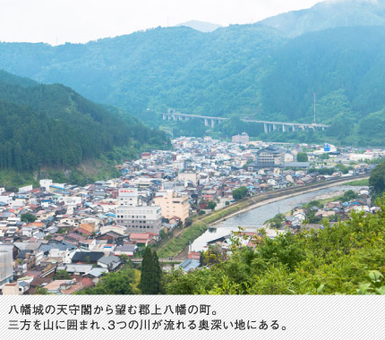 八幡城の天守閣から望む郡上八幡の町。三方を山に囲まれ、3つの川が流れる奥深い地にある。