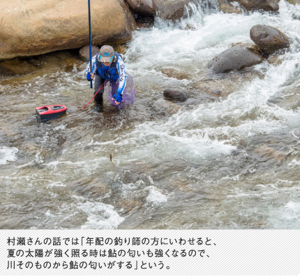 村瀬さんの話では「年配の釣り師の方にいわせると、夏の太陽が強く照る時は鮎の匂いも強くなるので、川そのものから鮎の匂いがする」という。
