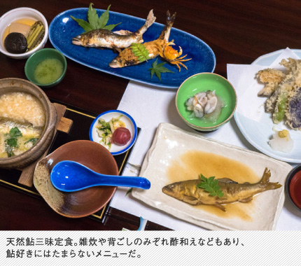 天然鮎三昧定食。雑炊や背ごしのみぞれ酢和えなどもあり、鮎好きにはたまらないメニューだ。