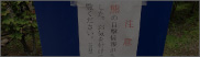 photo2
