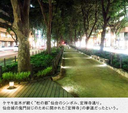 ケヤキ並木が続く“杜の都”仙台のシンボル、定禅寺通り。仙台城の鬼門封じのために開かれた「定禅寺」の参道だったという。