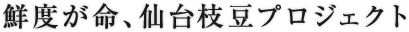 鮮度が命、仙台枝豆プロジェクト
