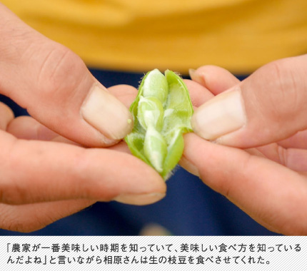 「農家が一番美味しい時期を知っていて、美味しい食べ方を知っているんだよね」と言いながら相原さんは生の枝豆を食べさせてくれた。