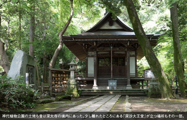 神代植物公園の土地も昔は深大寺の境内にあった。少し離れたところにある「深沙大王堂」が立つ場所もその一部。