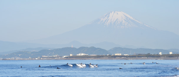 ［Part.1］自然と暮らしやすさが心地よい辻堂