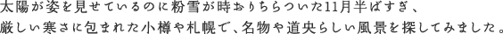 太陽が姿を見せているのに粉雪が時おりちらついた11月半ばすぎ、厳しい寒さに包まれた小樽や札幌で、名物や道央らしい風景を探してみました。