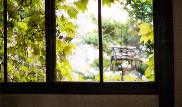 「森彦」(本店)の裏手につくられた巣箱。円山公園からの野鳥が遊びにくる時があるという。