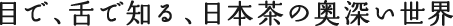 目で、舌で知る、日本茶の奥深い世界