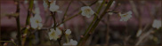 photo1