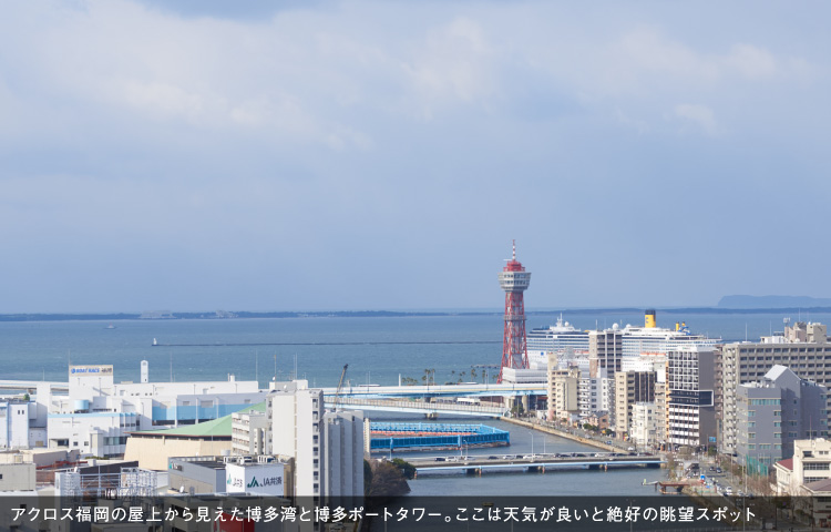 アクロス福岡の屋上から見えた博多湾と博多ポートタワー。ここは天気が良いと絶好の眺望スポット