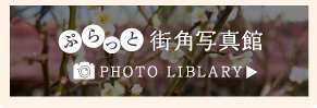 ぷらっと街角写真館