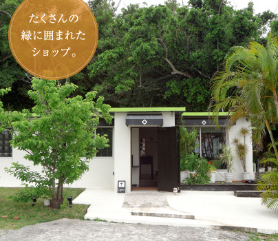 たくさんの緑に囲まれたショップ。