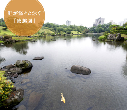 鯉が悠々と泳ぐ「成趣園」