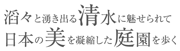 滔々と湧き出る清水に魅せられて日本の美を凝縮した庭園を歩く