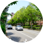 ゆったり散歩道