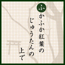 ふかふか紅葉のじゅうたんの上で：下鴨神社（糺の森）：京都くらしの風景×水野克比古 NO.4