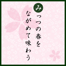 みっつの春をながめて味わう：桜と桃、祭りの提灯：京都くらしの風景×水野克比古 NO.1