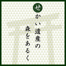 せかい遺産の森をあるく：下鴨神社 糺の森：京さんぽ vol.2