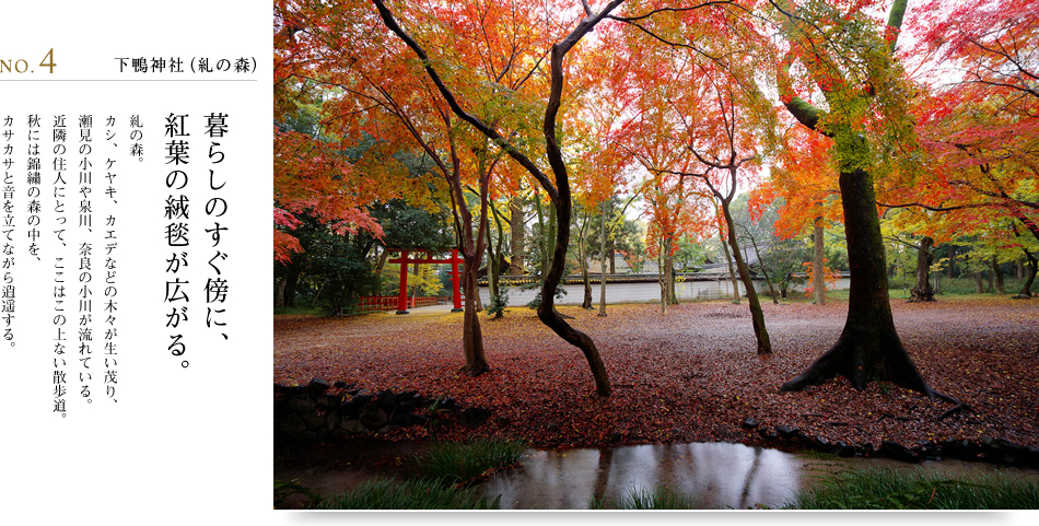 NO.4 下鴨神社（糺の森）