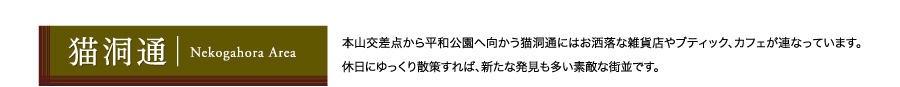 猫洞通 Nekogahora Area