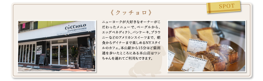 spot《クッチョロ》