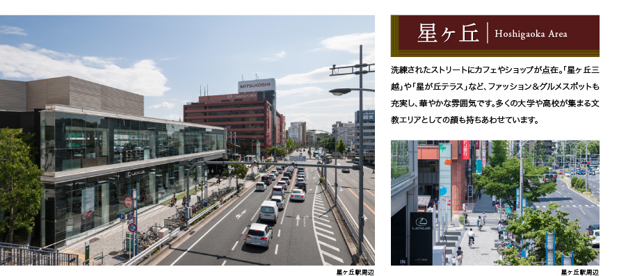 星ヶ丘 Hoshigaoka Area