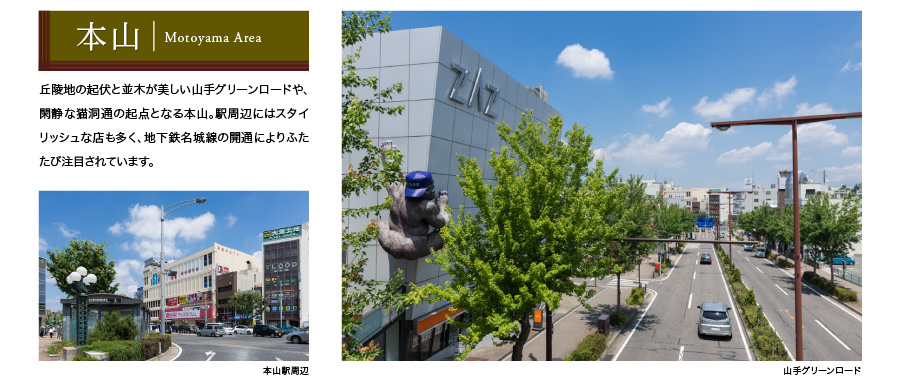 本山 Motoyama Area