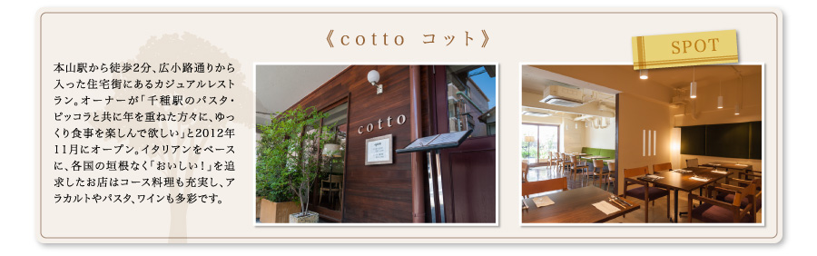 spot《cotto コット》