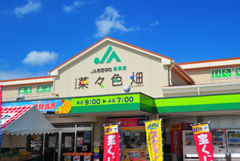 JAおきなわ食彩館 とよさき菜々色畑