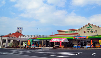道の駅「豊崎」