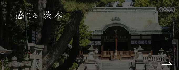 感じる茨木