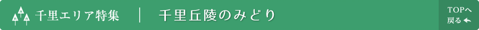 千里エリア特集 | 千里丘陵のみどり TOPへ戻る