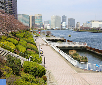 近代的な景観から遠方に「永代橋」を望む。