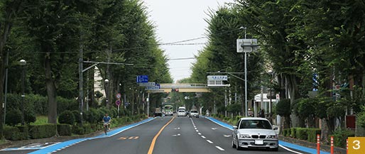 日本一の長さを誇る埼大通りのけやき並木。