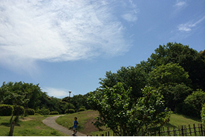 休みの日には公園やのんびり過ごす家族や、ジョギングを愉しむ人も多く、自然と触れ合っている姿を見かける。 休みの日には公園やのんびり過ごす家族や、ジョギングを愉しむ人も多く、自然と触れ合っている姿を見かける。