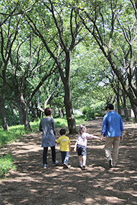 天気が良い日は、親子で散歩をしている家族も多く、ほのぼのした風景に心が和む。 天気が良い日は、親子で散歩をしている家族も多く、ほのぼのした風景に心が和む。