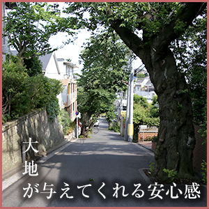 大地が与えてくれる安心感